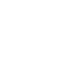 King Guard